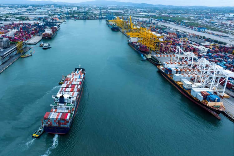 Member of the Advisory Board