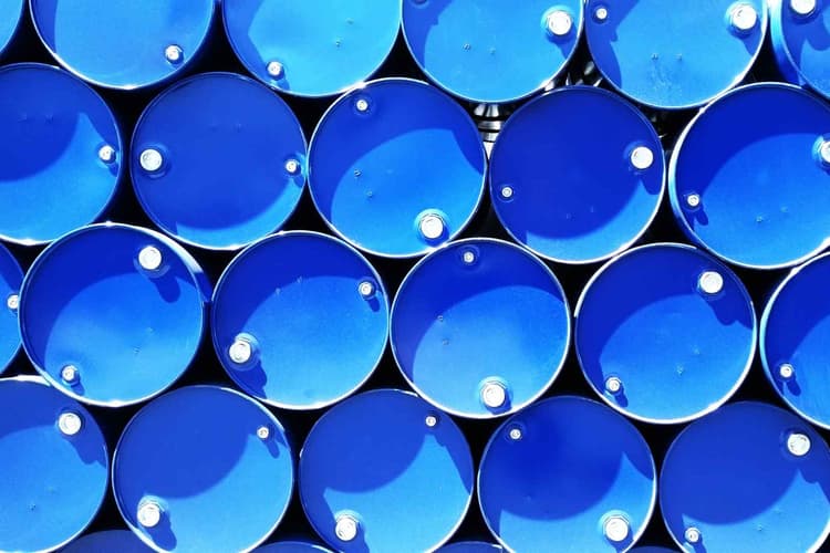 Supervisory Board Member