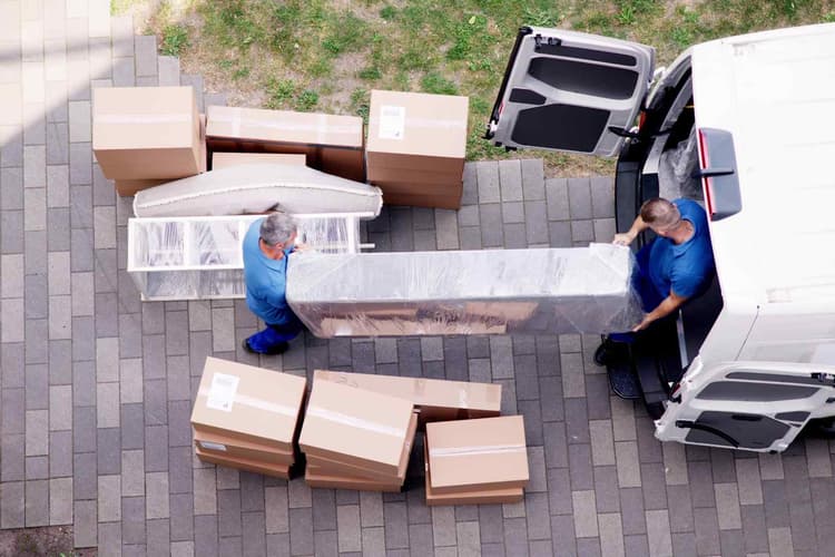 Global Procurement Director