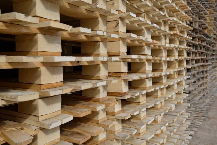 Senior Vice President